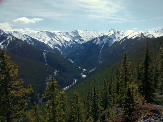 IMG_20150419_121822007_2