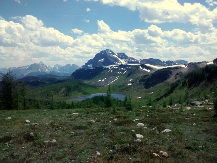 IMG_20150628_144424822_2