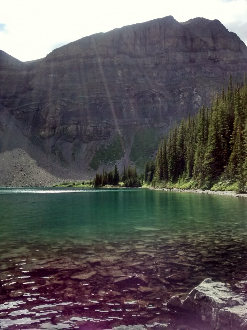 IMG_20150809_161013983_HDR_1