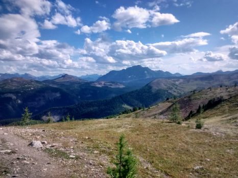 IMG_20150809_172712444_HDR_1