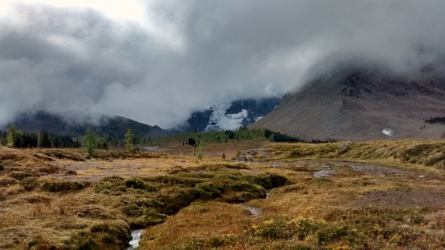 IMG_20150914_095323160_HDR_1